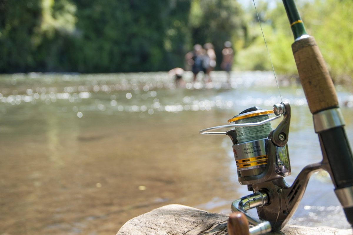 pêche disponible au camping Beaurivage