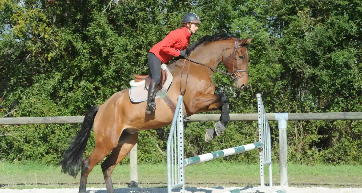Le Jumping international de Vichy